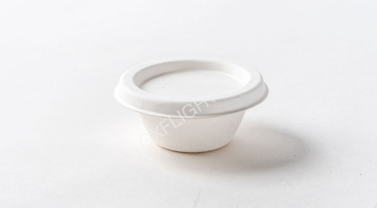 Sugar Cane Coffee Cups