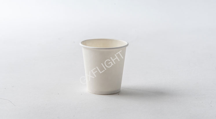 Bagasse Cups
