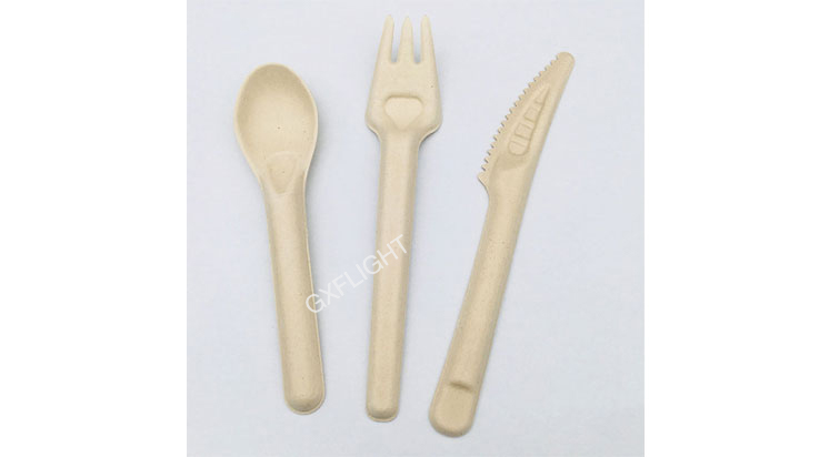 Sugarcane Pulp Cutlery