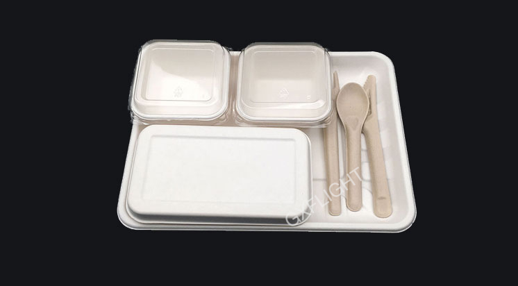 Sugarcane Tableware Set