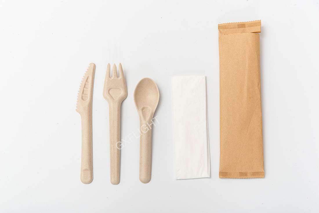 Gxflight Sugarcane Tableware Gxflight Sugarcane Tableware
