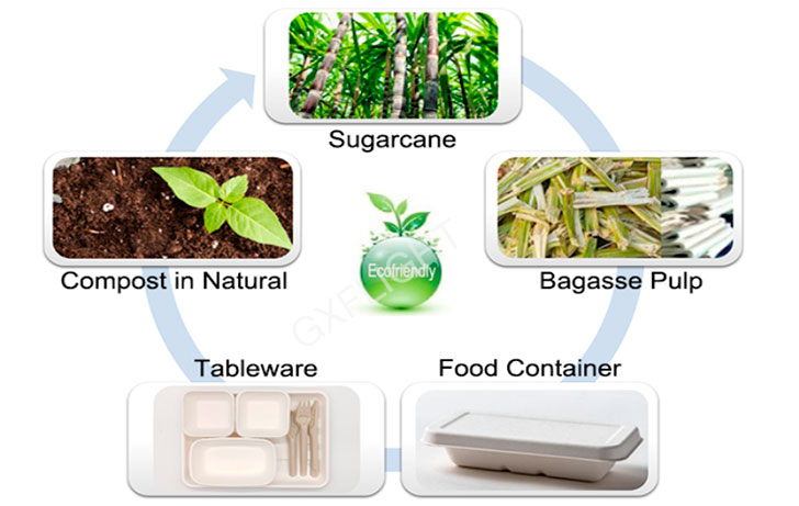 From Sugarcane to Eco-friendly Tableware From Sugarcane to Eco-friendly Tableware