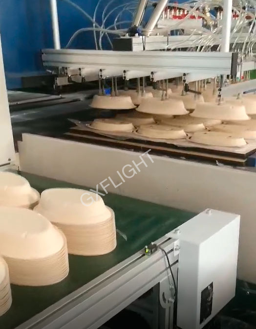 From Sugarcane to Eco-friendly Tableware From Sugarcane to Eco-friendly Tableware