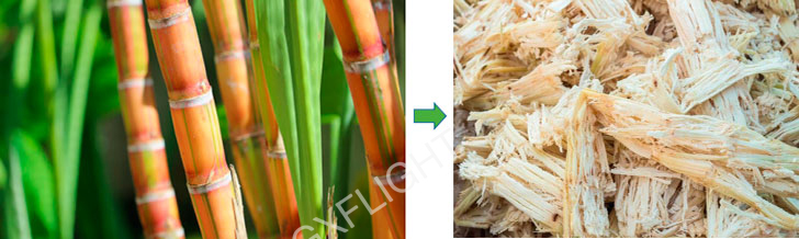 From Sugarcane to Eco-friendly Tableware From Sugarcane to Eco-friendly Tableware